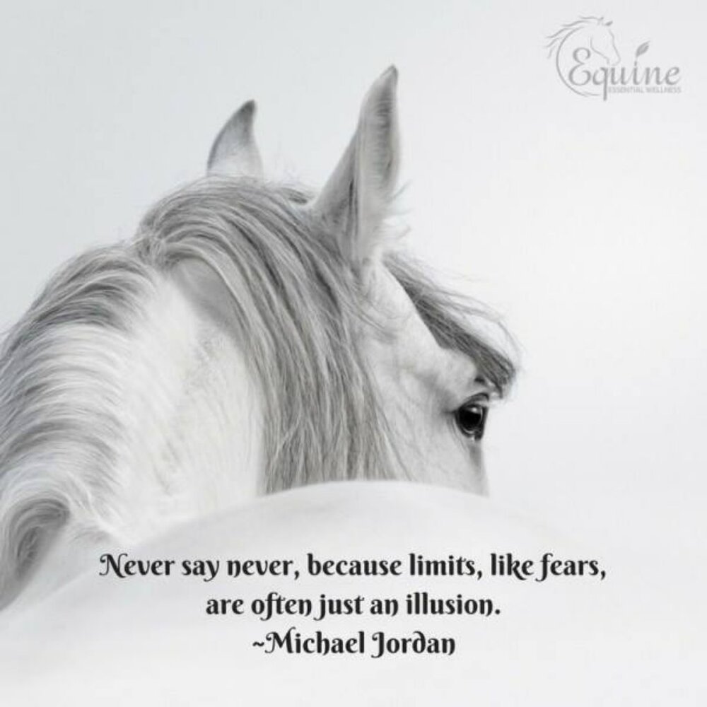 A little COWGIRL MOTIVATION - Picture 7 of 16